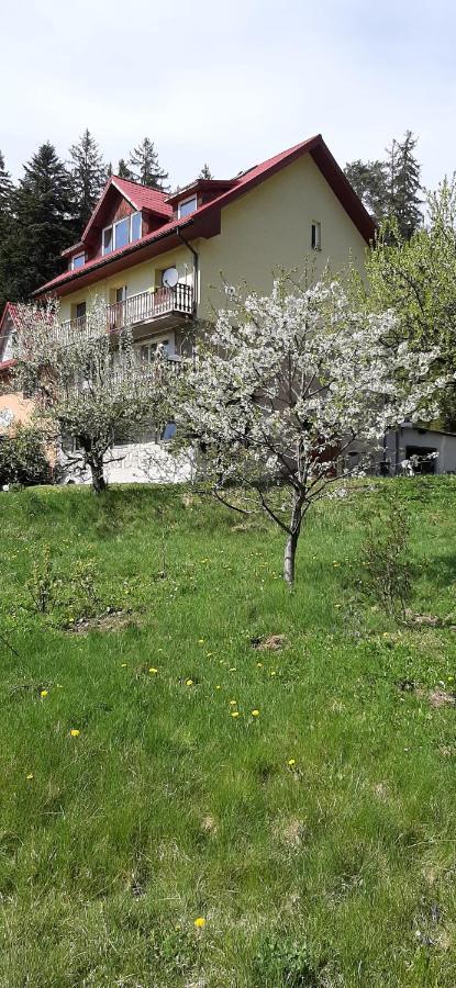 Pod Modrzewiem Mieszkania Wakacyjne Duszniki Zdrój Dış mekan fotoğraf