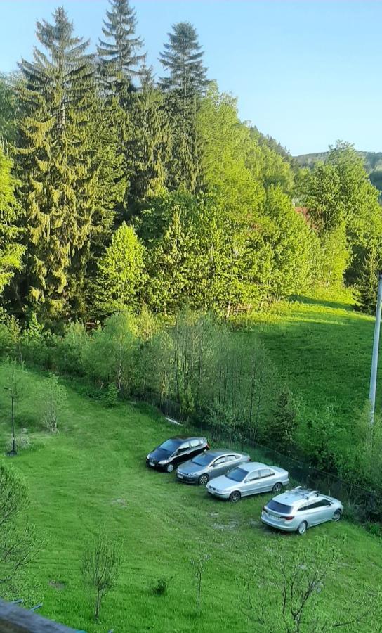Pod Modrzewiem Mieszkania Wakacyjne Duszniki Zdrój Dış mekan fotoğraf