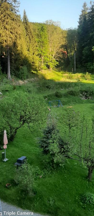 Pod Modrzewiem Mieszkania Wakacyjne Duszniki Zdrój Dış mekan fotoğraf
